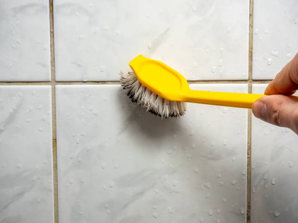 Best Local Mold Removal Service  in Homer, LA