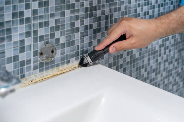 Best Toxic Mold Removal  in Homer, LA