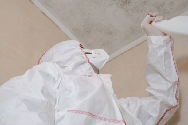 Best Crawl Space Mold Removal  in Homer, LA